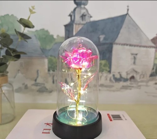Rose led dome - led, for