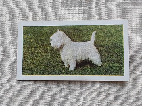 Hornimans tea dogs - tea, #25
