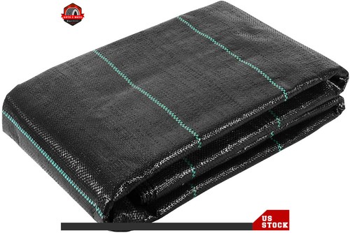 Ground cover lanscape - ground,