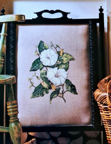 Bindweed convolvulus panel - bindweed,