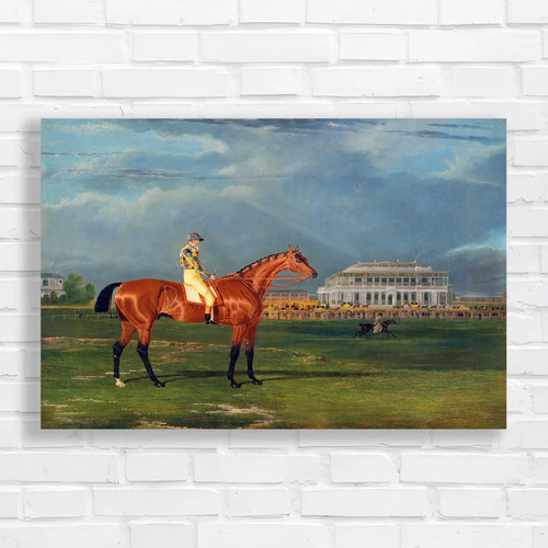 Thoroughbred horse racing - horse,
