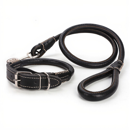 Premium leather dog leash - premium,