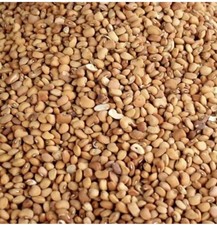 SWEET HONEY BEANS [EWA