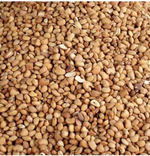 5kg nigerian honey beans ewa - honey, beans[ewa