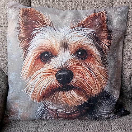 Yorkshire terrier grey - terrier, beige