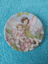 Apple blossom fairy flower - apple,