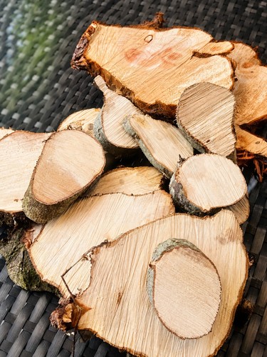 10pcs wood slices round - , discs