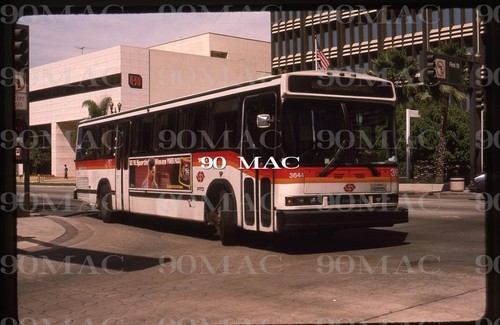 Scrtd neoplan bus 3644 - bus, #3644.
