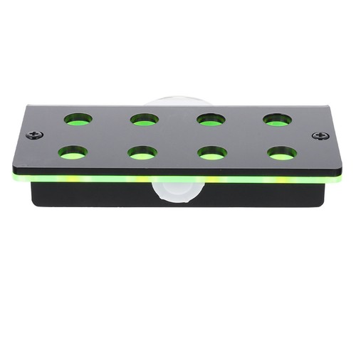 Live coral display stand - coral,