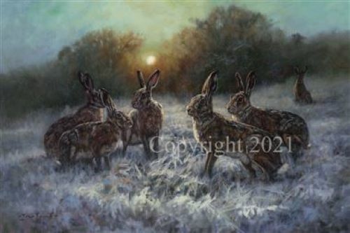 Hares the snow christmas - in,