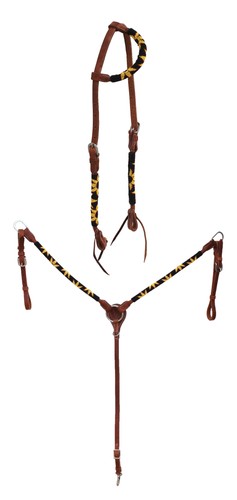 Horse show bridle western - horse,