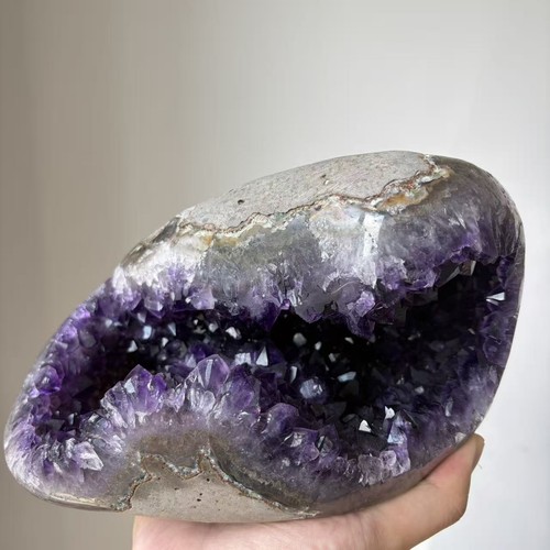 8lb large dark purple - 8.8lb,