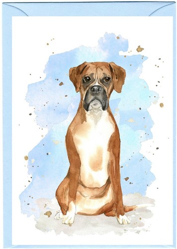 Boxer dog blank card - (4"x6"),