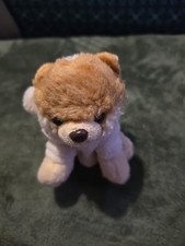 Gund Itty Bitty Boo Pomeranian