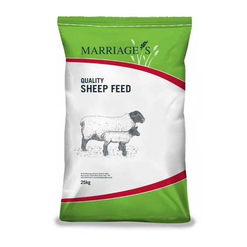 Marriage ewe care cubes - ewe,