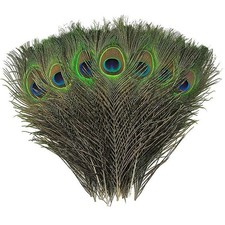 Natural Peacock Feathers Real