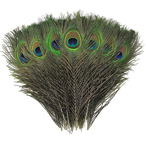 Natural peacock feathers - natural,