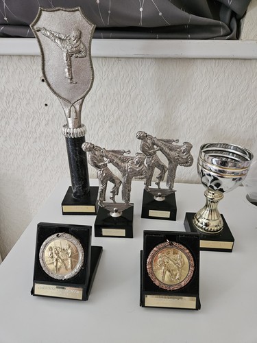 Bundle karate trophies and - bundle,