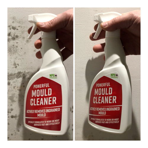 Powerful black mould spray - mould,