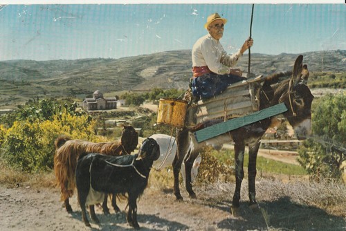 Cyprus villager paphos - cyprus,