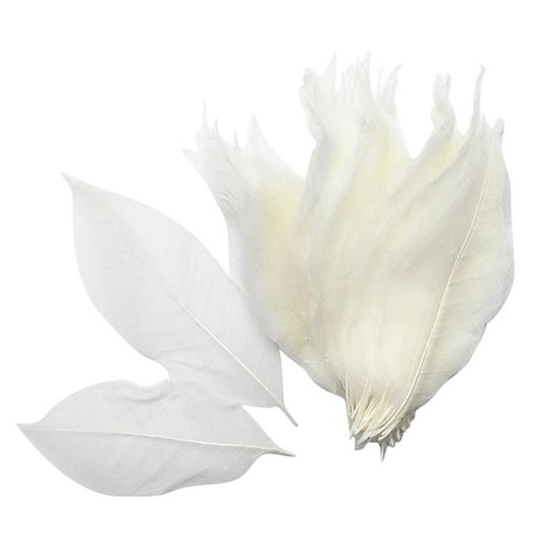 100 pieces natural - 100,