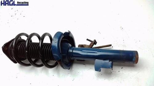 Left strut with - with, shock