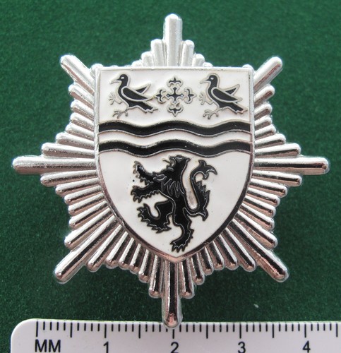 Clwyd fire brigade cap badge - fire,