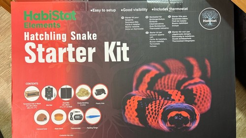 Habistat hatchling snake - habistat,