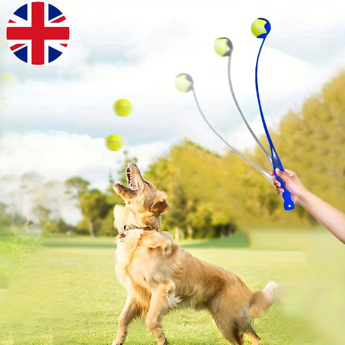 Dog tennis ball - tennis, launcher