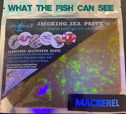 Sea fishing bait paste - fishing,