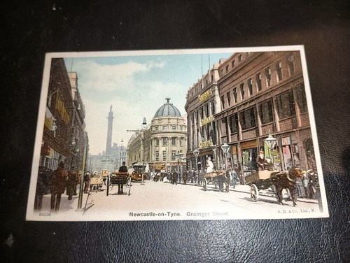 Horse carts in grainger - horse,