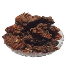 Jadwar (Delphinium denudatum)