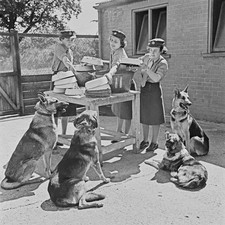 Three uniformed female