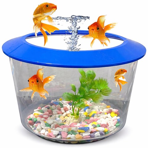 Fish bowl aquarium 30cm - bowl,
