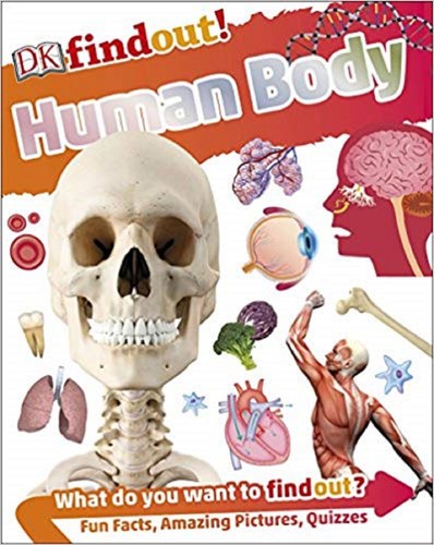 Human body facts learning - human,