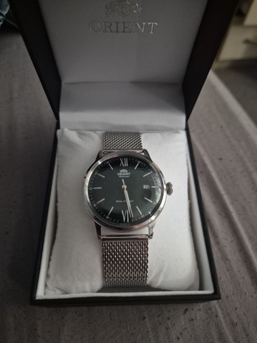 Orient bambino automatic green - bambino,