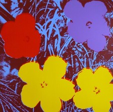 Andy Warhol (Poppy flower)
