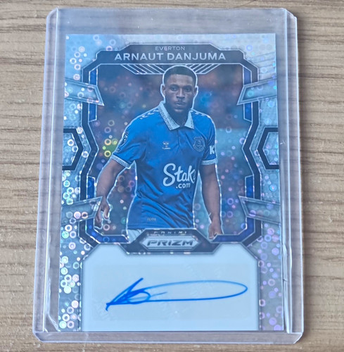 Panini prizm premier league - premier,