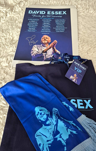 David essex tour vip - uk,
