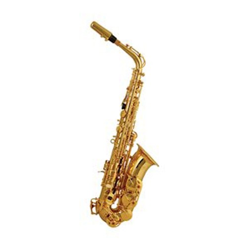 Elkhart alto saxophone - elkhart, 100as