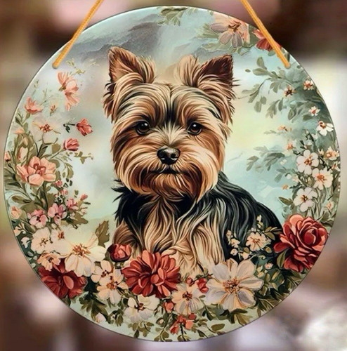 Yorkshire terrier yorkie - yorkshire,