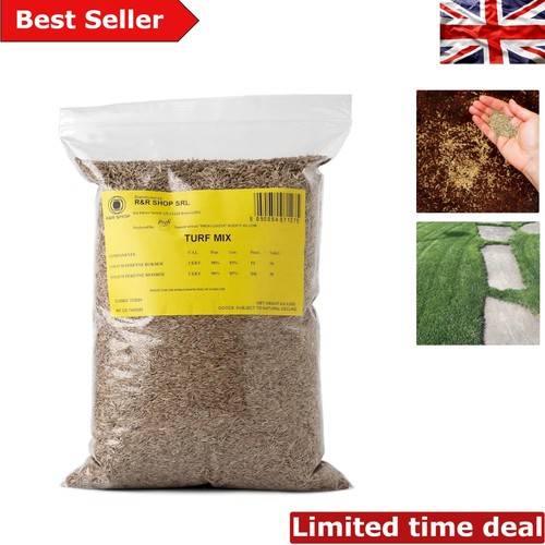 Perennial ryegrass seeds - perennial,