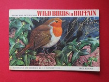 BROOKE BOND  PG TIPS  OFFICIAL