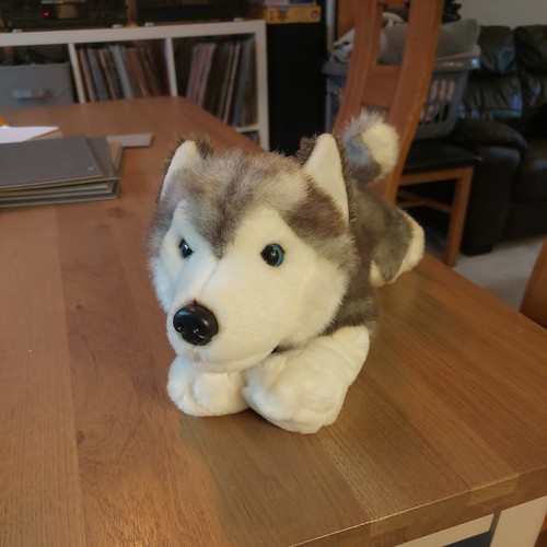 Keel toys storm husky dog - keel,