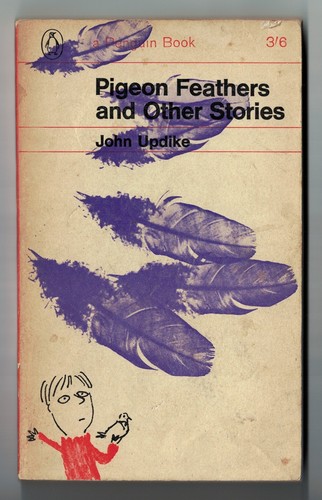 Pigeon feathers and other - feathers,