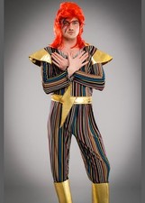 Adult Mens 70s Glam Rock Ziggy