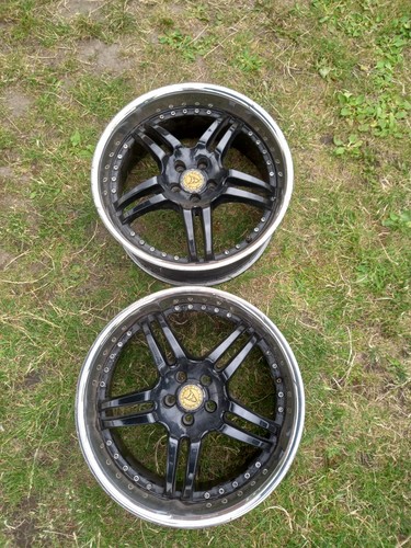 Wolfrace shark alloys split - wolfrace,