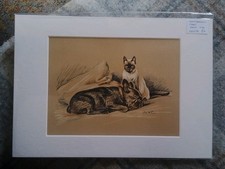 Lucy Dawson (Mac) Artist -