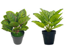 Decorative Artificial Real