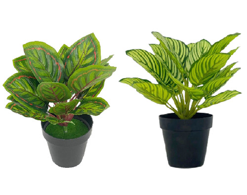 Decorative artificial real - artificial,